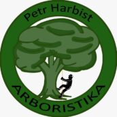 Vaše stromy moje starost